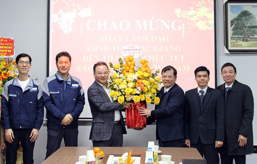 省人民委员会副主席Phan The Tuan向一些外国直接投资企业祝贺新年